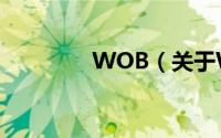 WOB（关于WOB的简介）