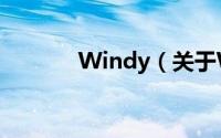 Windy（关于Windy的简介）