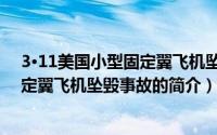 3·11美国小型固定翼飞机坠毁事故（关于3·11美国小型固定翼飞机坠毁事故的简介）
