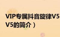 VIP专属抖音旋律V5（关于VIP专属抖音旋律V5的简介）