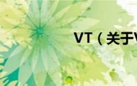 VT（关于VT的简介）