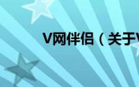 V网伴侣（关于V网伴侣的简介）