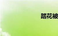 踏花被怎么洗
