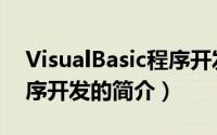 VisualBasic程序开发（关于VisualBasic程序开发的简介）