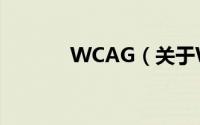 WCAG（关于WCAG的简介）