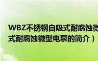 WBZ不锈钢自吸式耐腐蚀微型电泵（关于WBZ不锈钢自吸式耐腐蚀微型电泵的简介）