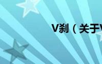 V刹（关于V刹的简介）
