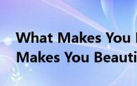 What Makes You Beautiful（关于What Makes You Beautiful的简介）