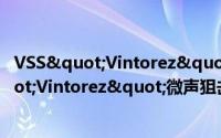 VSS"Vintorez"微声狙击步枪（关于VSS"Vintorez"微声狙击步枪的简介）