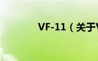 VF-11（关于VF-11的简介）