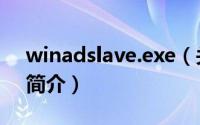 winadslave.exe（关于winadslave.exe的简介）