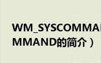WM_SYSCOMMAND（关于WM_SYSCOMMAND的简介）