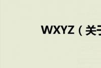 WXYZ（关于WXYZ的简介）