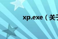 xp.exe（关于xp.exe的简介）