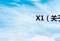 X1（关于X1的简介）
