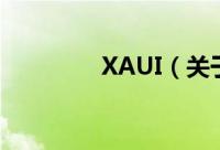 XAUI（关于XAUI的简介）