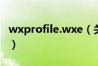 wxprofile.wxe（关于wxprofile.wxe的简介）