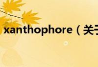 xanthophore（关于xanthophore的简介）