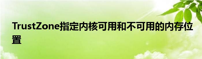 TrustZone指定内核可用和不可用的内存位置