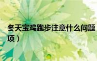 冬天宝鸡跑步注意什么问题（冬天宝鸡跑步需要注意哪些事项）