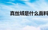 真丝绒是什么面料真丝绒面料哪里有