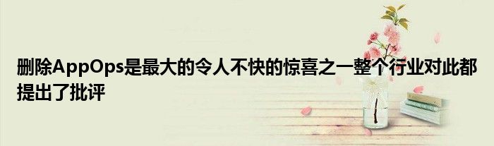 删除AppOps是最大的令人不快的惊喜之一整个行业对此都提出了批评