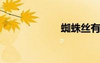 蜘蛛丝有什么用途