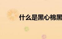 什么是黑心棉黑心棉有什么危害