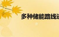多种储能路线进入发展快车道