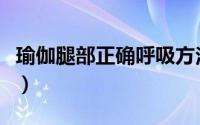 瑜伽腿部正确呼吸方法（正确的瑜伽呼吸方法）