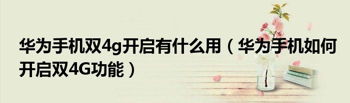 华为手机双4g开启有什么用（华为手机如何开启双4G功能）