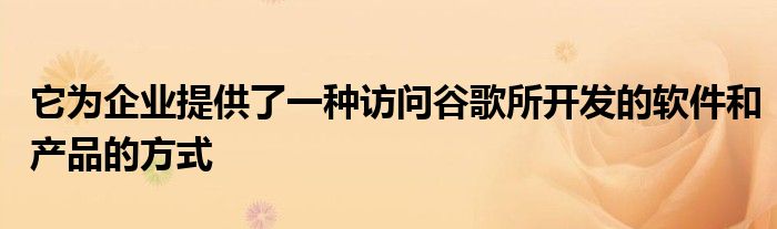 它为企业提供了一种访问谷歌所开发的软件和产品的方式