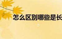 怎么区别哪些是长丝纱哪些是短纤纱
