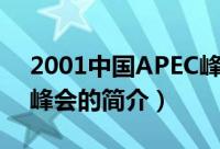2001中国APEC峰会（关于2001中国APEC峰会的简介）