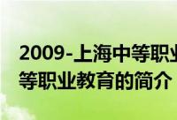 2009-上海中等职业教育（关于2009-上海中等职业教育的简介）