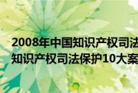 2008年中国知识产权司法保护10大案件（关于2008年中国知识产权司法保护10大案件的简介）