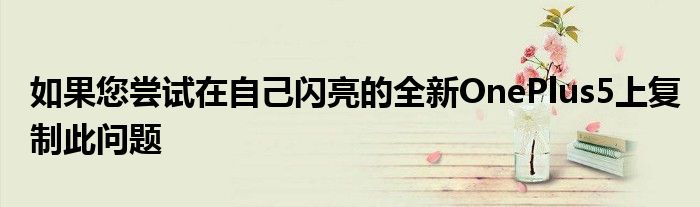 如果您尝试在自己闪亮的全新OnePlus5上复制此问题