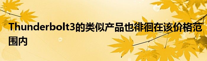 Thunderbolt3的类似产品也徘徊在该价格范围内