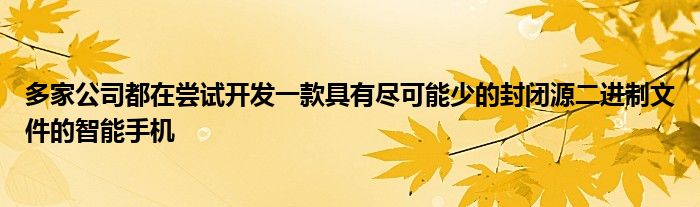 多家公司都在尝试开发一款具有尽可能少的封闭源二进制文件的智能手机