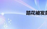 踏花被发黄了怎么办