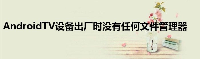 AndroidTV设备出厂时没有任何文件管理器