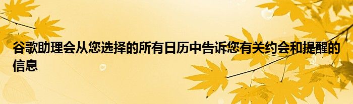 谷歌助理会从您选择的所有日历中告诉您有关约会和提醒的信息