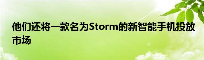 他们还将一款名为Storm的新智能手机投放市场