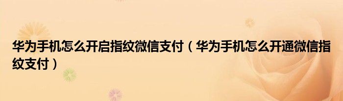 华为手机怎么开启指纹微信支付（华为手机怎么开通微信指纹支付）