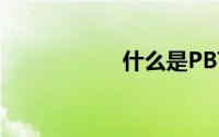 什么是PBT高弹纤维