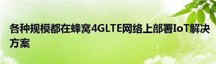各种规模都在蜂窝4GLTE网络上部署IoT解决方案