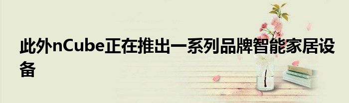 此外nCube正在推出一系列品牌智能家居设备