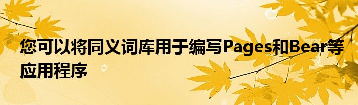 您可以将同义词库用于编写Pages和Bear等应用程序