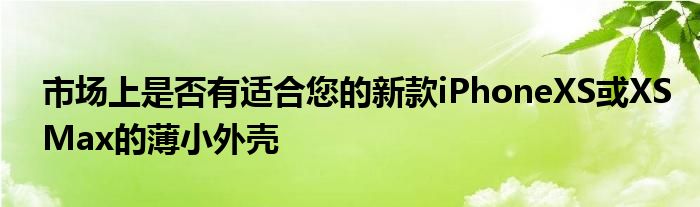 市场上是否有适合您的新款iPhoneXS或XSMax的薄小外壳