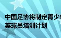 中国足协将制定青少年足球训练指导大纲和精英球员培训计划